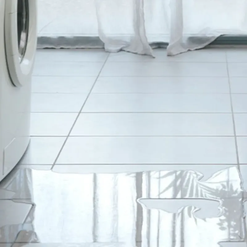 Appliance Leak Cleanup in Lansing, MI