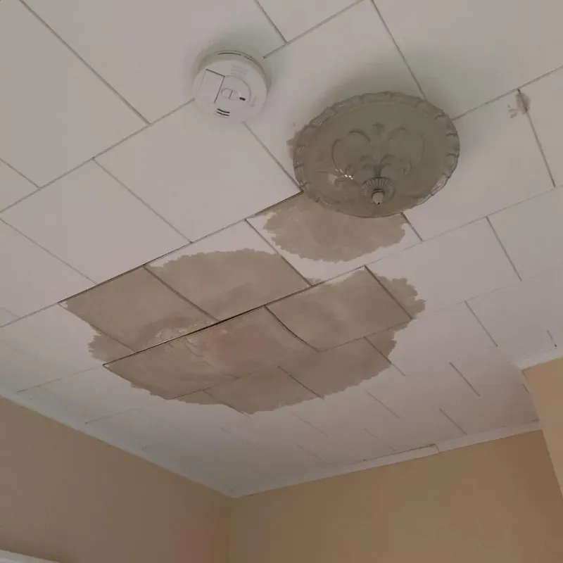 Ceiling Water Damage Repair in Lansing, MI