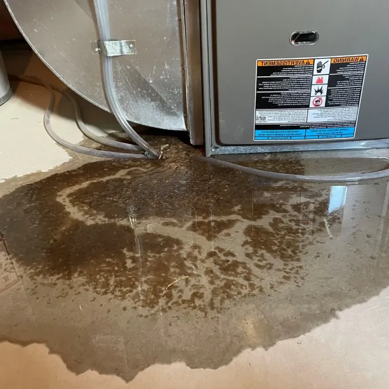 Pipe Burst and Leak Restoration in Lansing, MI